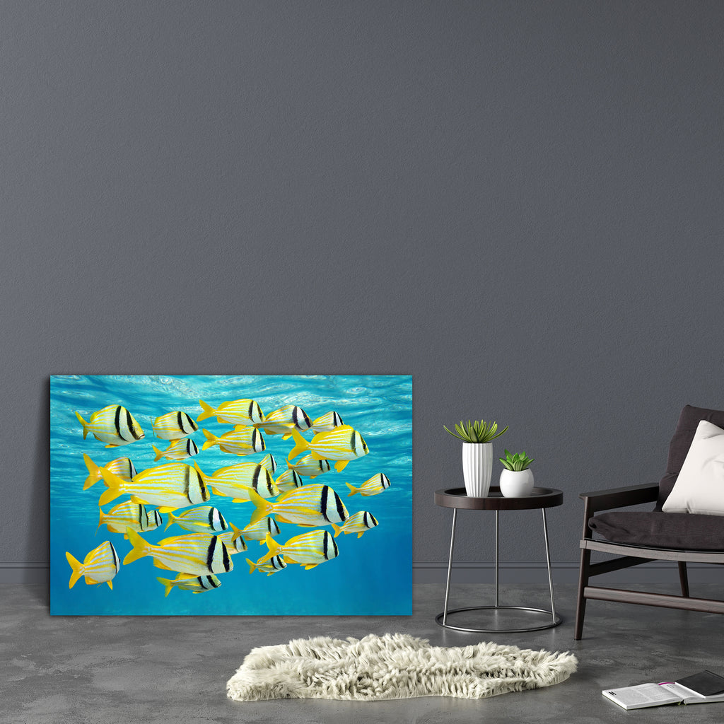 Tropical Fish Caribbean Sea Canvas Painting Synthetic Frame-Paintings MDF Framing-AFF_FR-IC 5003766 IC 5003766, Animals, Education, Nature, Scenic, Schools, Tropical, Universities, Wildlife, fish, caribbean, sea, canvas, painting, synthetic, frame, colorful, school, of, animal, aquatic, aruba, exotic, life, marine, ocean, shoal, striped, surface, tropics, under, the, water, undersea, underwater, artzfolio, wall decor for living room, wall frames for living room, frames for living room, wall art, canvas pain