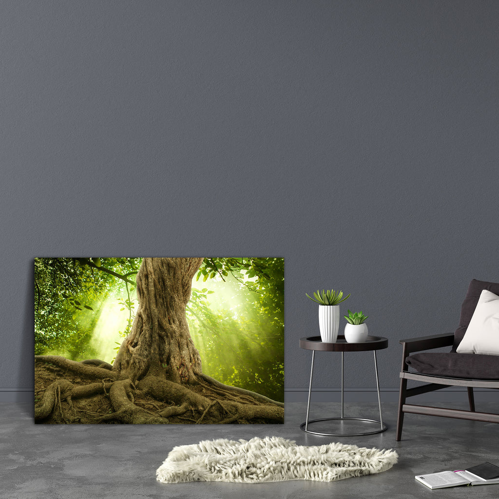 Big Tree Roots & Sunshine In A Green Forest Canvas Painting Synthetic Frame-Paintings MDF Framing-AFF_FR-IC 5004708 IC 5004708, Fantasy, Landscapes, Nature, Perspective, Scenic, Wooden, big, tree, roots, sunshine, in, a, green, forest, canvas, painting, synthetic, frame, scenery, trees, landscape, old, serenity, woods, trunk, with, root, large, branches, moss, bark, deep, spring, botany, branch, brown, calm, colorful, day, environment, foliage, giant, ground, growth, height, huge, leaf, light, magical, natu
