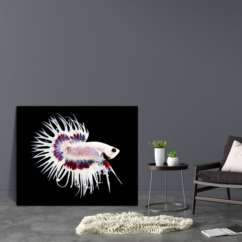 Betta Fish D1 Canvas Painting Synthetic Frame-Paintings MDF Framing-AFF_FR-IC 5005255 IC 5005255, Animals, Black, Black and White, Nature, Pets, Scenic, Tropical, White, betta, fish, d1, canvas, painting, synthetic, frame, aggressive, animal, aquarium, aquatic, background, beautiful, beauty, blue, color, colorful, crown, tail, domestic, dragon, dress, fighting, isolated, luxury, motion, pet, power, scale, siamese, water, artzfolio, wall decor for living room, wall frames for living room, frames for living r