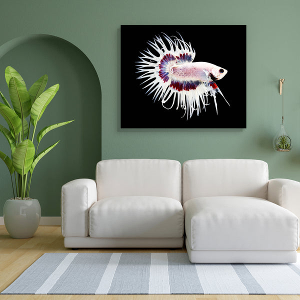 Betta Fish D1 Canvas Painting Synthetic Frame-Paintings MDF Framing-AFF_FR-IC 5005255 IC 5005255, Animals, Black, Black and White, Nature, Pets, Scenic, Tropical, White, betta, fish, d1, canvas, painting, for, bedroom, living, room, engineered, wood, frame, aggressive, animal, aquarium, aquatic, background, beautiful, beauty, blue, color, colorful, crown, tail, domestic, dragon, dress, fighting, isolated, luxury, motion, pet, power, scale, siamese, water, artzfolio, wall decor for living room, wall frames f
