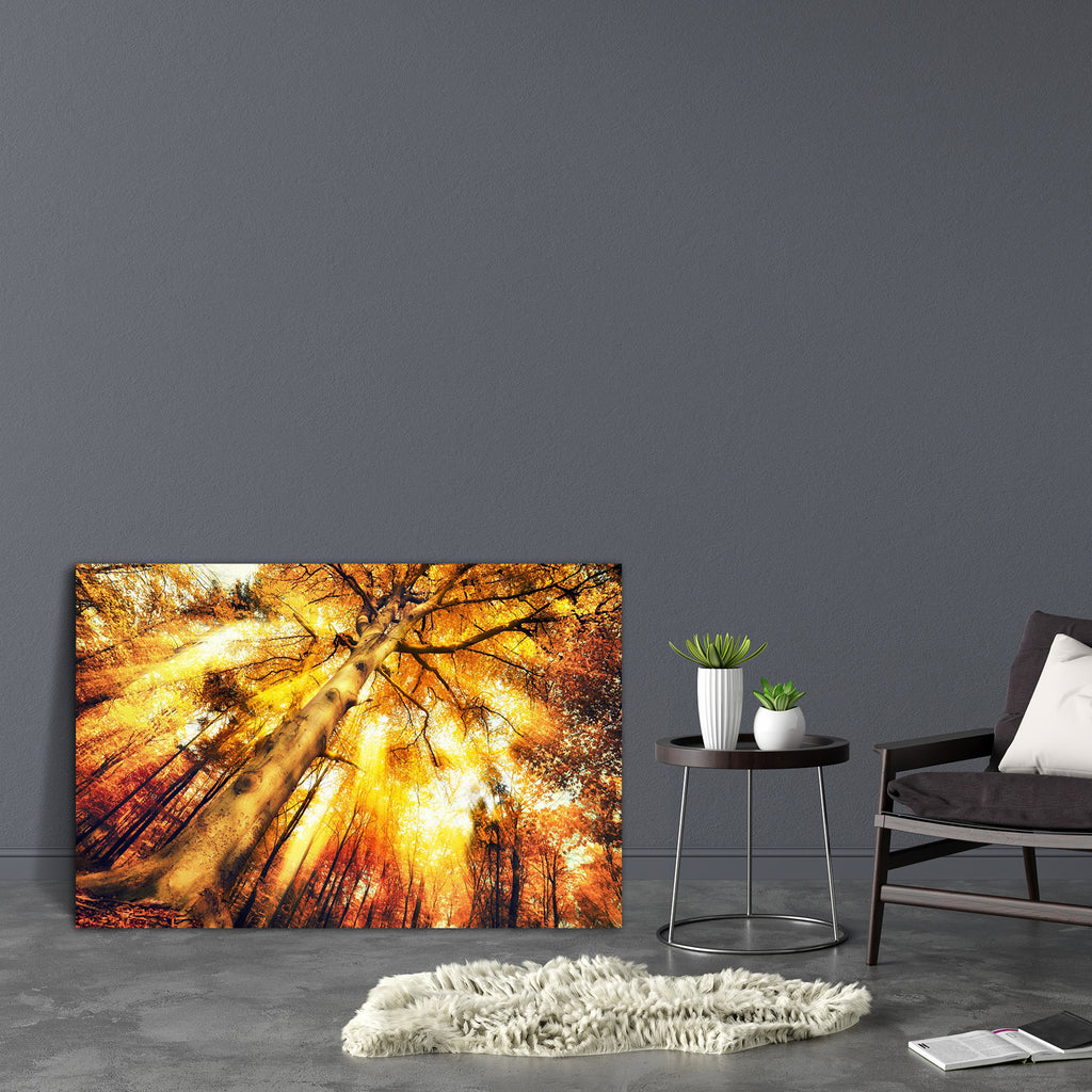 Forest Scenery In Autumn Canvas Painting Synthetic Frame-Paintings MDF Framing-AFF_FR-IC 5005260 IC 5005260, Botanical, Floral, Flowers, Landscapes, Nature, Scenic, Seasons, forest, scenery, in, autumn, canvas, painting, synthetic, frame, sunlight, autumnal, background, beech, botany, bright, brown, change, charm, clearing, crown, dynamic, effect, enchanting, environment, fall, flora, foliage, gold, high, idyllic, illuminated, landscape, light, luminous, magic, magical, orange, outdoor, park, plants, rays, 