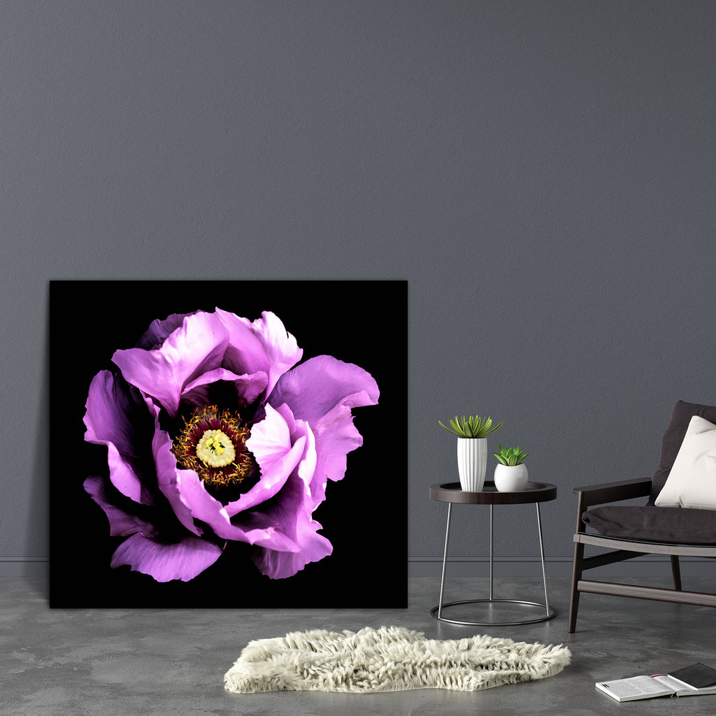 Violet Peony Flower Canvas Painting Synthetic Frame-Paintings MDF Framing-AFF_FR-IC 5005294 IC 5005294, Black, Black and White, Botanical, Floral, Flowers, Love, Nature, Patterns, Photography, Romance, Scenic, Surrealism, White, violet, peony, flower, canvas, painting, synthetic, frame, background, beautiful, beauty, bloom, blossom, blossoming, bright, chrome, closeup, color, colorful, dark, exotic, flora, freshness, garden, grass, green, growth, head, isolated, large, leaf, macro, natural, one, pattern, pe
