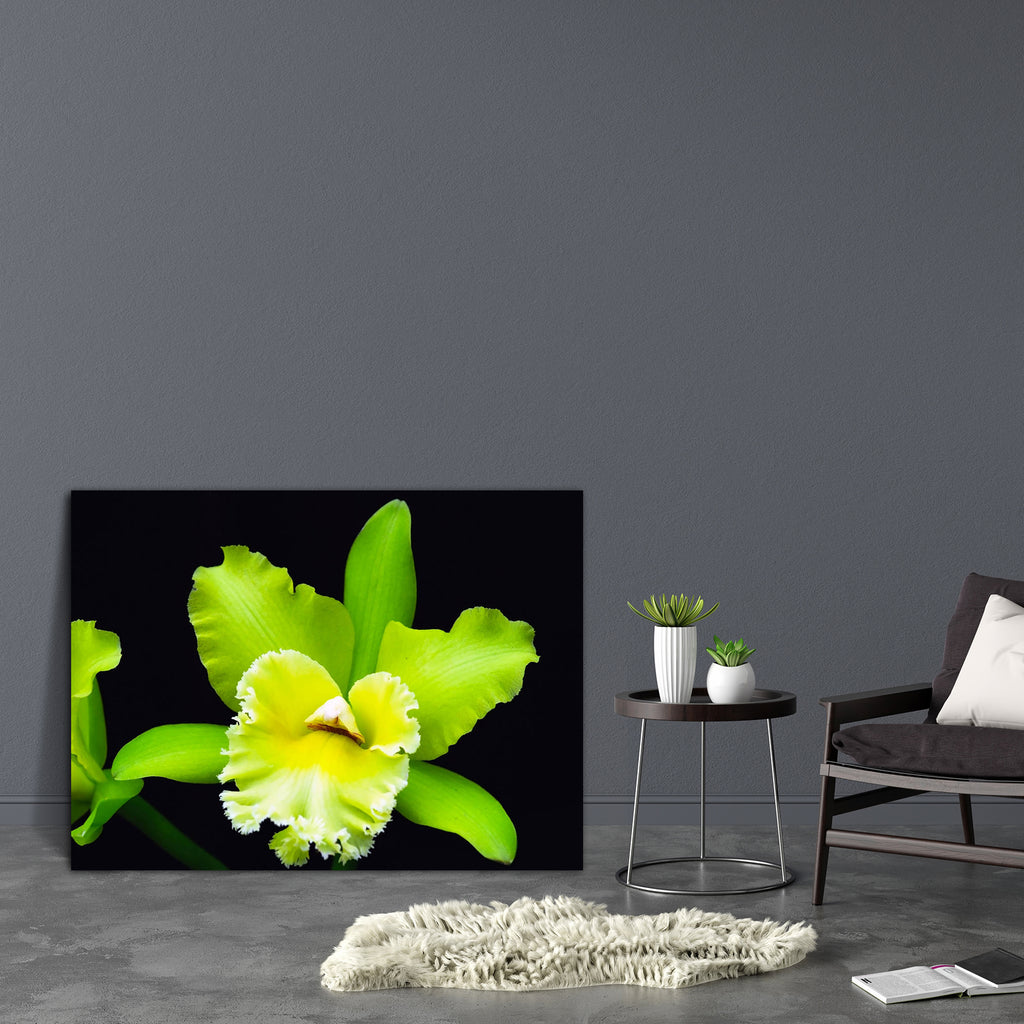 Orchid Flower D1 Canvas Painting Synthetic Frame-Paintings MDF Framing-AFF_FR-IC 5005302 IC 5005302, Botanical, Culture, Ethnic, Floral, Flowers, Nature, Scenic, Traditional, Tribal, World Culture, orchid, flower, d1, canvas, painting, synthetic, frame, bloom, cattleya, color, flora, garden, green, horticulture, houseplant, rare, spring, artzfolio, wall decor for living room, wall frames for living room, frames for living room, wall art, canvas painting, wall frame, scenery, panting, paintings for living ro