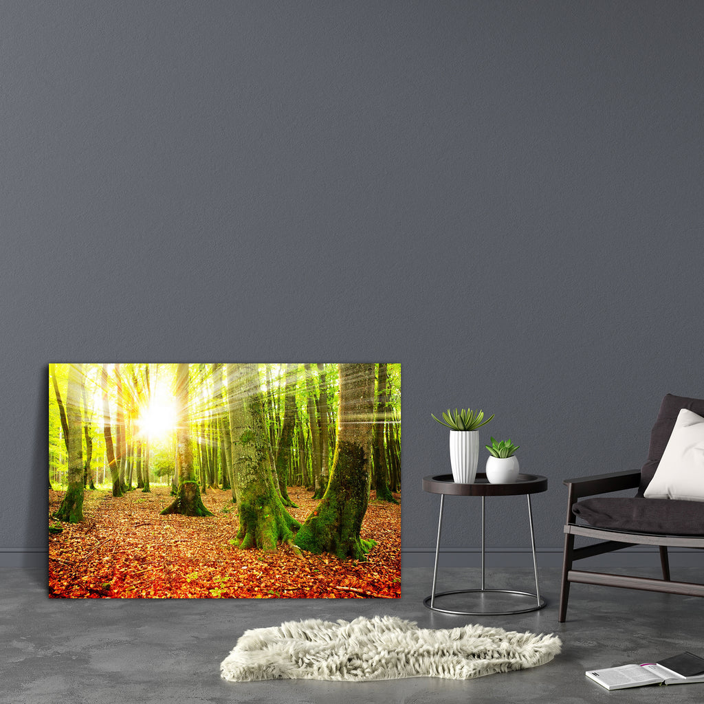 Autumn Landscape D8 Canvas Painting Synthetic Frame-Paintings MDF Framing-AFF_FR-IC 5005351 IC 5005351, Landscapes, Nature, Rural, Scenic, Seasons, Sunrises, Sunsets, Wooden, autumn, landscape, d8, canvas, painting, synthetic, frame, forest, fall, scenery, sunlight, background, beams, beautiful, beauty, bright, brown, color, environment, foggy, foliage, fresh, golden, green, leaf, light, mist, natural, orange, park, plant, ray, red, season, shine, sun, sunbeams, sunny, sunrise, sunshine, tree, wild, wood, y