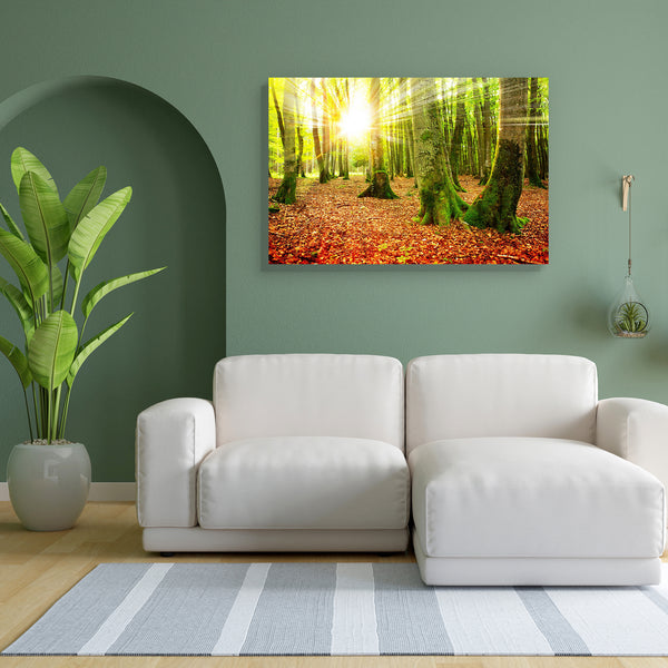 Autumn Landscape D8 Canvas Painting Synthetic Frame-Paintings MDF Framing-AFF_FR-IC 5005351 IC 5005351, Landscapes, Nature, Rural, Scenic, Seasons, Sunrises, Sunsets, Wooden, autumn, landscape, d8, canvas, painting, for, bedroom, living, room, engineered, wood, frame, forest, fall, scenery, sunlight, background, beams, beautiful, beauty, bright, brown, color, environment, foggy, foliage, fresh, golden, green, leaf, light, mist, natural, orange, park, plant, ray, red, season, shine, sun, sunbeams, sunny, sun