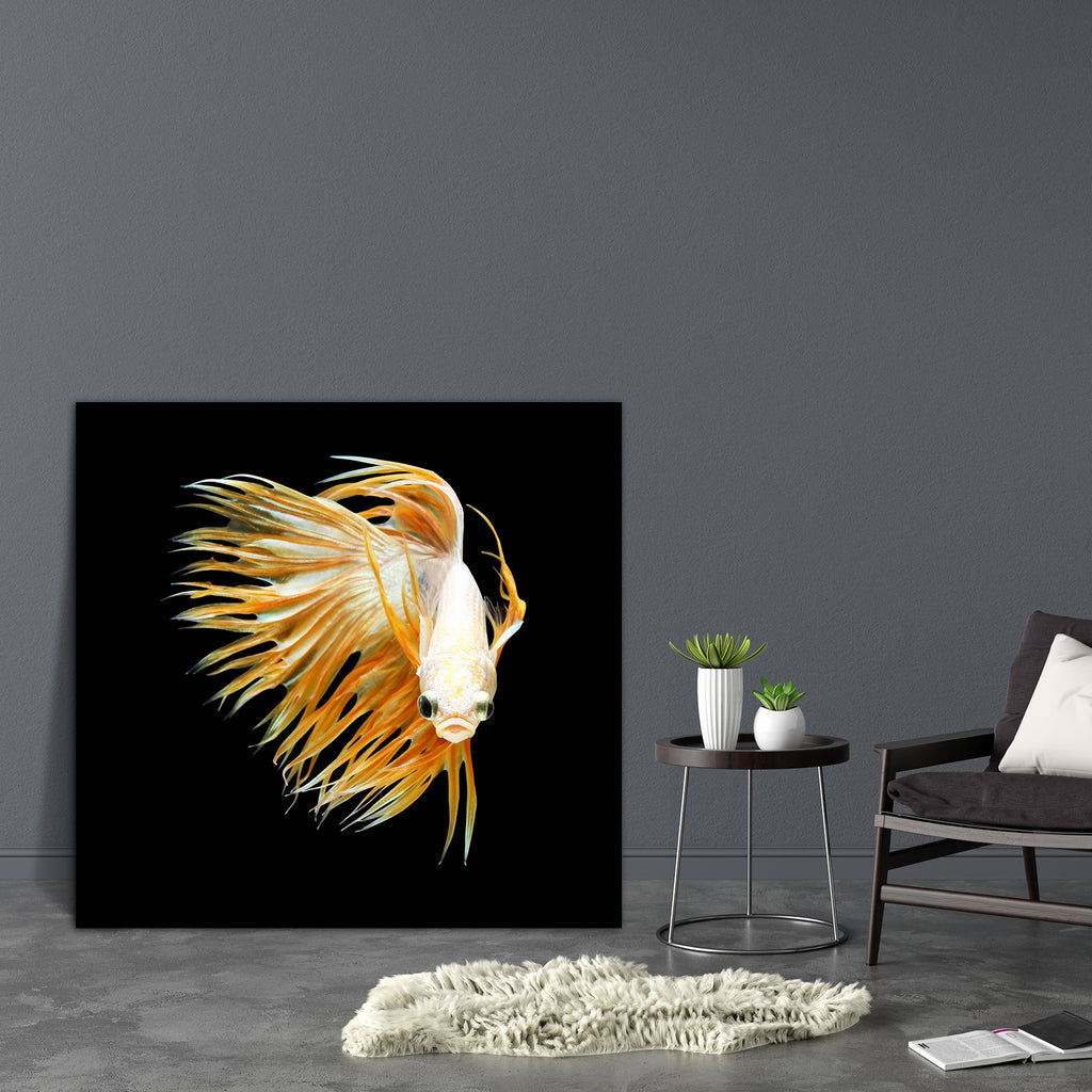 Betta Fish D5 Canvas Painting Synthetic Frame-Paintings MDF Framing-AFF_FR-IC 5005510 IC 5005510, Animals, Black, Black and White, Nature, Pets, Scenic, Tropical, White, betta, fish, d5, canvas, painting, synthetic, frame, aggressive, animal, aquarium, aquatic, background, beautiful, beauty, blue, color, colorful, crown, tail, domestic, dragon, dress, fighting, isolated, luxury, motion, pet, power, scale, siamese, water, artzfolio, wall decor for living room, wall frames for living room, frames for living r