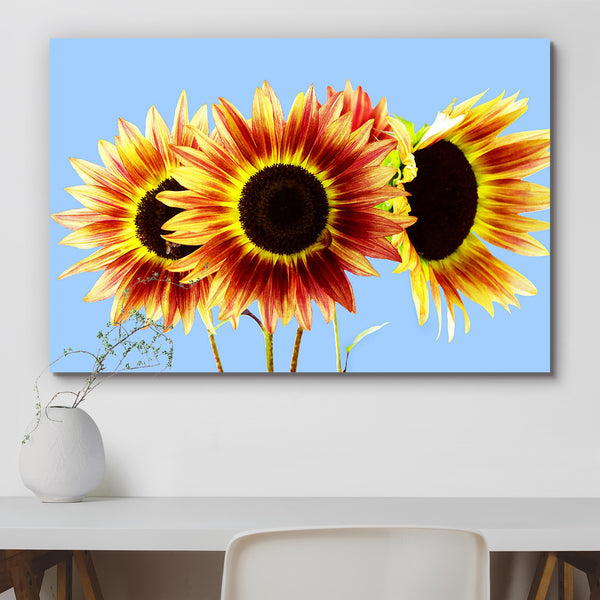 Three Red & Yellow Sunflowers On Blue Peel & Stick Vinyl Wall Sticker-Laminated Wall Stickers-ART_VN_UN-IC 5005780 IC 5005780, Animals, Birds, Botanical, Conceptual, Culture, Ethnic, Floral, Flowers, Landscapes, Love, Nature, Patterns, Romance, Scenic, Seasons, Traditional, Tribal, Wildlife, World Culture, three, red, yellow, sunflowers, on, blue, peel, stick, vinyl, wall, sticker, for, home, decoration, agriculture, aromatic, august, background, beauty, bees, blooms, blossoming, blossoms, skies, bouquets, 