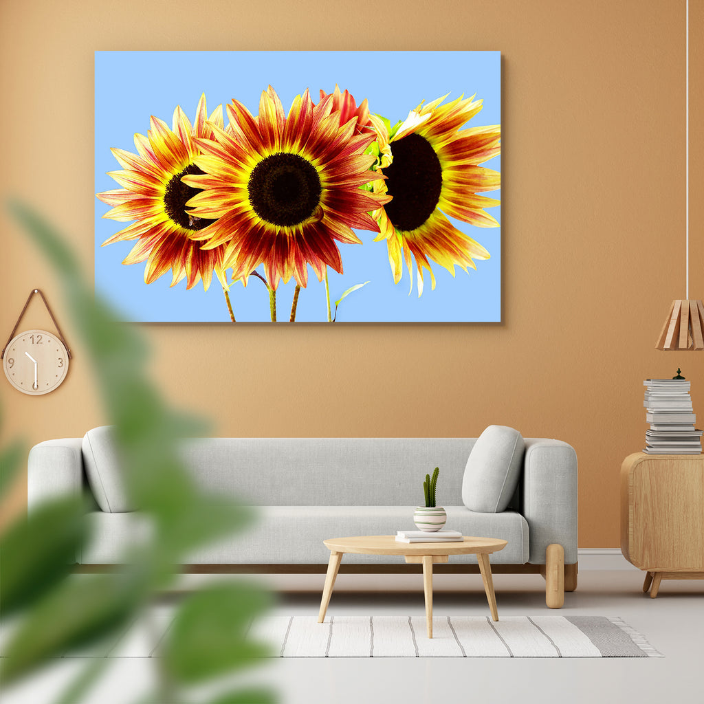 Three Red & Yellow Sunflowers On Blue Peel & Stick Vinyl Wall Sticker-Laminated Wall Stickers-ART_VN_UN-IC 5005780 IC 5005780, Animals, Birds, Botanical, Conceptual, Culture, Ethnic, Floral, Flowers, Landscapes, Love, Nature, Patterns, Romance, Scenic, Seasons, Traditional, Tribal, Wildlife, World Culture, three, red, yellow, sunflowers, on, blue, peel, stick, vinyl, wall, sticker, agriculture, aromatic, august, background, beauty, bees, blooms, blossoming, blossoms, skies, bouquets, bugs, butterflies, cele