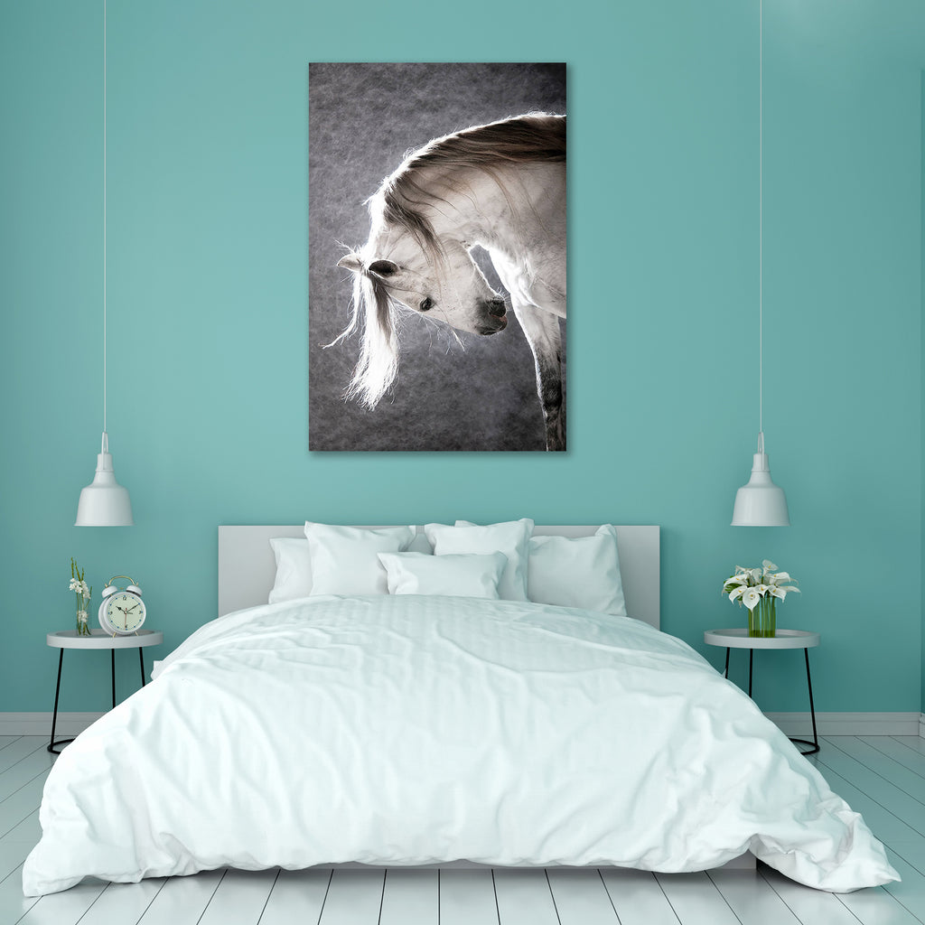 White Andalusian Horse D1 Peel & Stick Vinyl Wall Sticker-Laminated Wall Stickers-ART_VN_UN-IC 5005781 IC 5005781, Animals, Black and White, Individuals, Portraits, Spanish, White, andalusian, horse, d1, peel, stick, vinyl, wall, sticker, horses, portrait, face, animal, background, beautiful, breed, dark, equestrian, equine, grey, hair, mane, mare, moving, stallion, studio, thoroughbred, vertical, artzfolio, wall sticker, wall stickers, wallpaper sticker, wall stickers for bedroom, wall decoration items for
