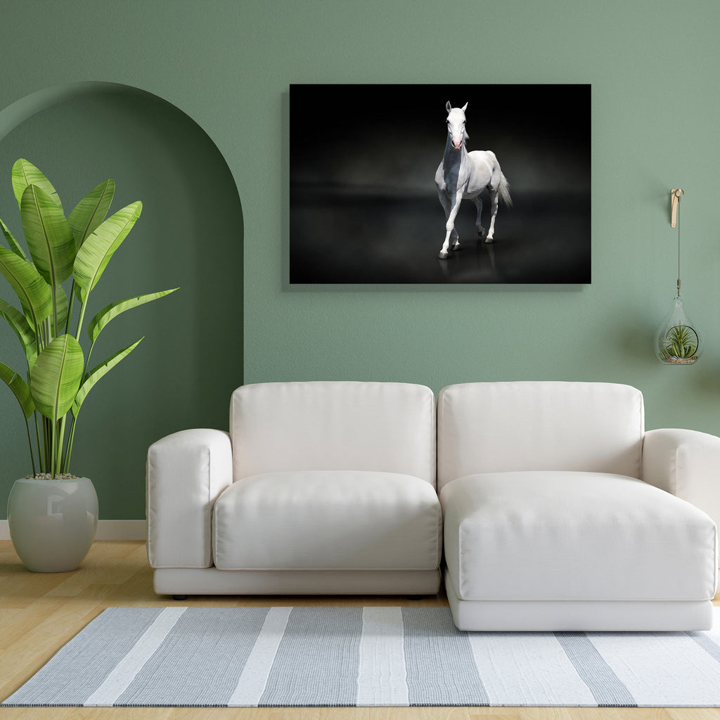 White Horse D5 Peel & Stick Vinyl Wall Sticker-Laminated Wall Stickers-ART_VN_UN-IC 5005881 IC 5005881, Abstract Expressionism, Abstracts, Animals, Art and Paintings, Birds, Black, Black and White, Individuals, Nature, Pets, Portraits, Scenic, Semi Abstract, Sports, White, horse, d5, peel, stick, vinyl, wall, sticker, horses, abstract, animal, arab, arabian, art, background, beautiful, beauty, elegant, equestrian, equine, farm, fauna, free, freedom, isolated, light, lipizzaner, mammal, mane, mare, motion, n