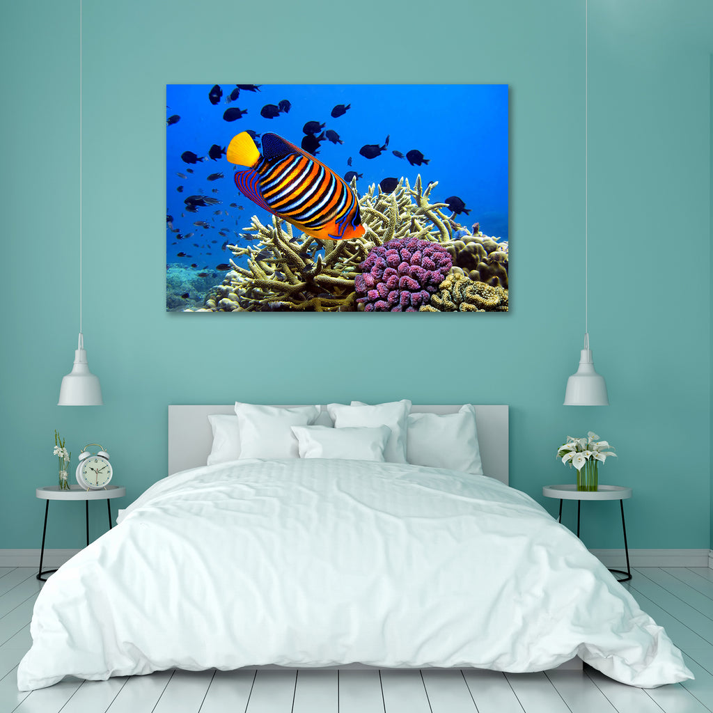 Angel Fish Pygoplites Diacanthus Peel & Stick Vinyl Wall Sticker-Laminated Wall Stickers-ART_VN_UN-IC 5005885 IC 5005885, Automobiles, Hawaiian, Nautical, Patterns, Transportation, Travel, Vehicles, Wildlife, angel, fish, pygoplites, diacanthus, peel, stick, vinyl, wall, sticker, tropical, aquarium, exotic, aquatic, beach, beauty, bright, climate, coral, deep, fins, fishes, hawaii, islands, ocean, pattern, reef, sea, striped, tropic, underwater, vivid, water, wave, artzfolio, wall sticker, wall stickers, wa