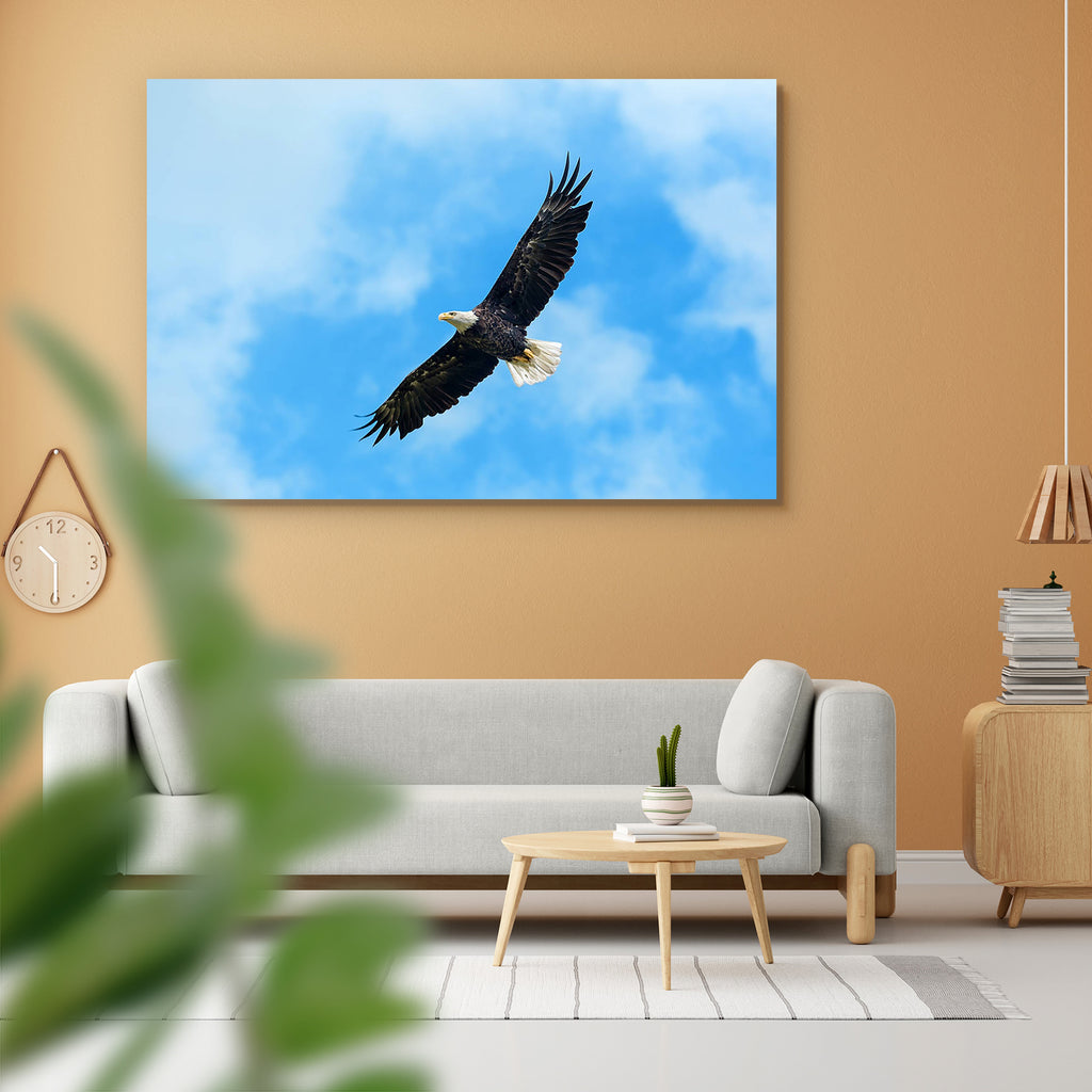 American Bald Eagle Circling In The Air Peel & Stick Vinyl Wall Sticker-Laminated Wall Stickers-ART_VN_UN-IC 5005952 IC 5005952, Adult, American, Animals, Automobiles, Birds, Countries, Nature, Scenic, Signs and Symbols, Sunsets, Symbols, Transportation, Travel, Vehicles, Wildlife, bald, eagle, circling, in, the, air, peel, stick, vinyl, wall, sticker, soaring, eagles, flight, hawk, alaska, america, animal, avian, bird, birding, birdwatching, blue, clouds, country, fly, free, freedom, gliding, grace, gracef