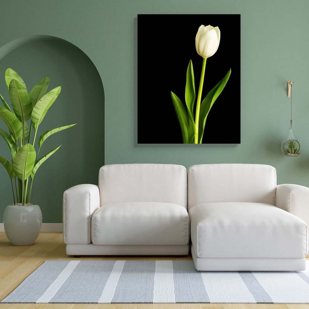 Fresh Spring White Tulips Over Black Peel & Stick Vinyl Wall Sticker-Laminated Wall Stickers-ART_VN_UN-IC 5006030 IC 5006030, Black, Black and White, Botanical, Floral, Flowers, Nature, Scenic, White, fresh, spring, tulips, over, peel, stick, vinyl, wall, sticker, tulip, fleur, flower, and, background, flora, green, artzfolio, wall sticker, wall stickers, wallpaper sticker, wall stickers for bedroom, wall decoration items for bedroom, wall decor for bedroom, wall stickers for hall, wall stickers for living 