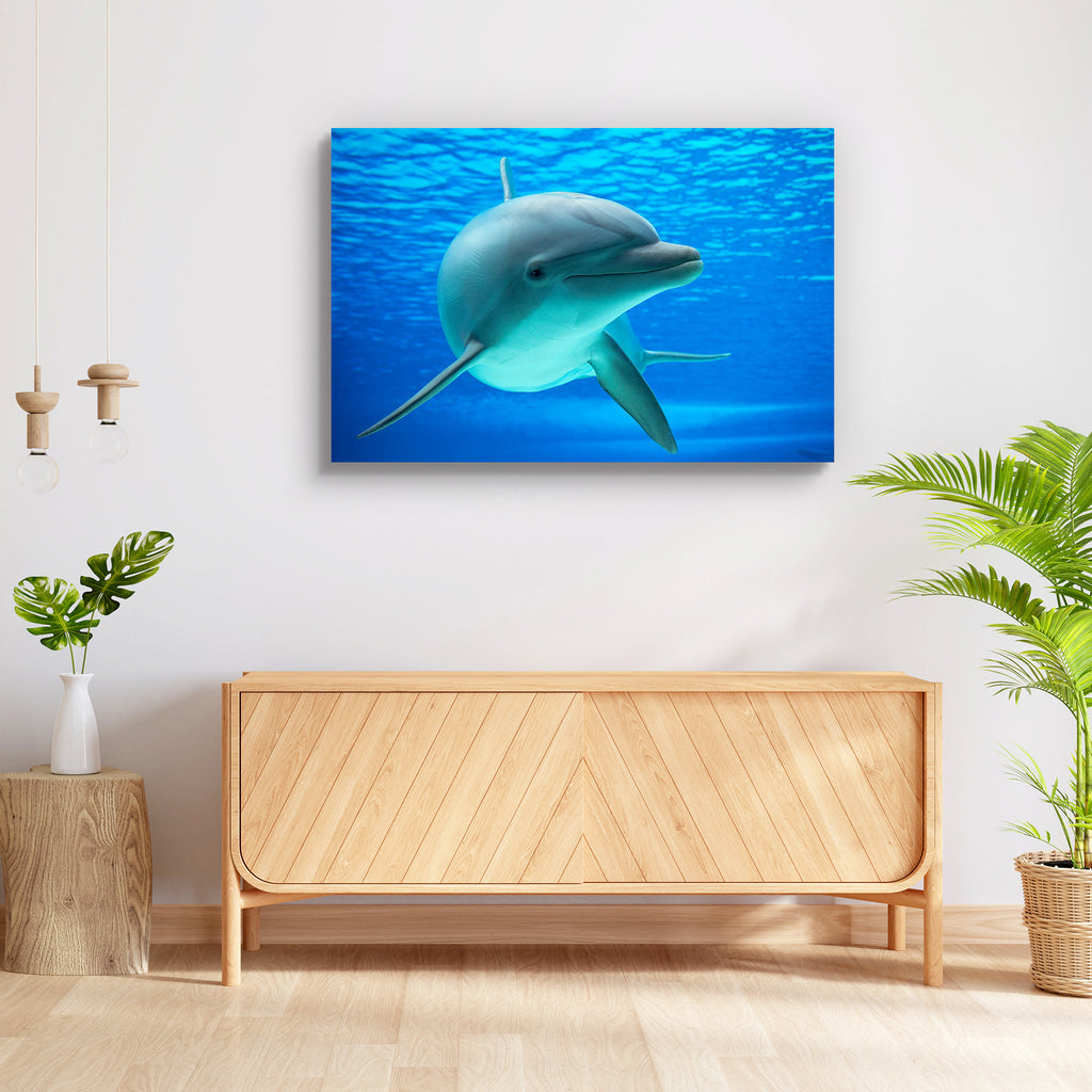 Dolphin Photographed in an Aquarium Peel & Stick Vinyl Wall Sticker-Laminated Wall Stickers-ART_VN_UN-IC 5006094 IC 5006094, Individuals, Nature, Portraits, Scenic, dolphin, photographed, in, an, aquarium, peel, stick, vinyl, wall, sticker, dolphins, underwater, delfin, basin, mammal, pool, portrait, sea, life, swimming, water, artzfolio, wall sticker, wall stickers, wallpaper sticker, wall stickers for bedroom, wall decoration items for bedroom, wall decor for bedroom, wall stickers for hall, wall stickers