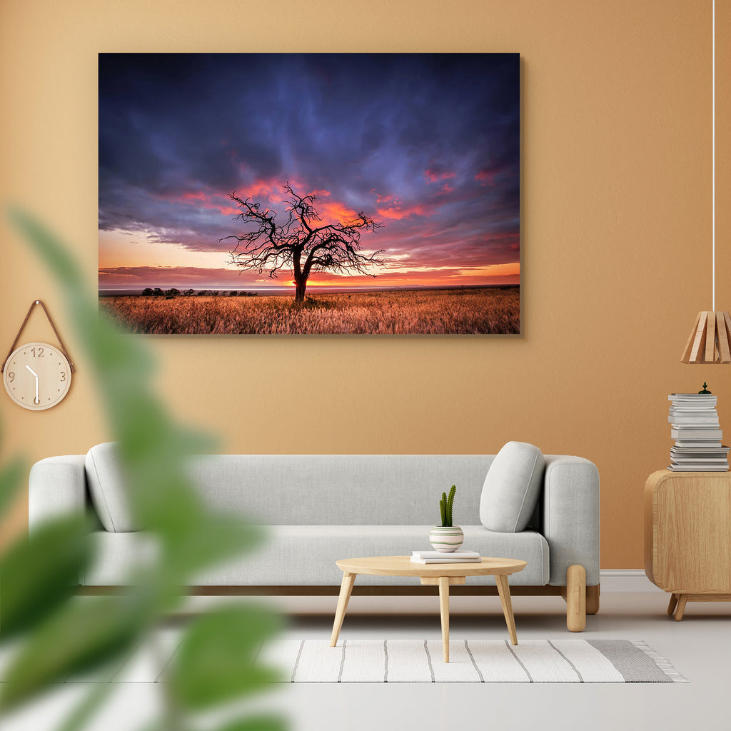 Tree in the Flinders Ranges of South Australia, Automobiles, Landscapes, Nature, Rural, Scenic, Sunrises, Sunsets, Transportation, Travel, Vehicles, adhesive, bed, big, cupboard, decal, decor, dining, furniture, home, house, item, kids, kitchen, large, office, painting, paper, poster, pvc, room, self, sticker, vinyl, wall, wallpaper, waterproof, , , , 