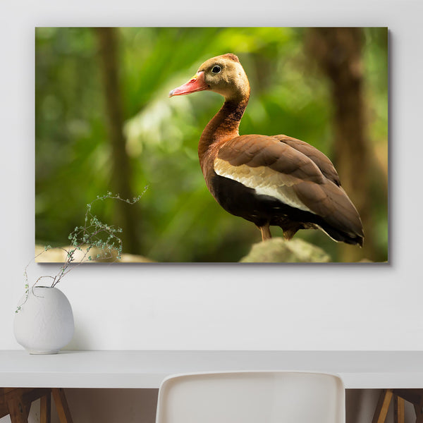 Black Bellied Whistling Tree Duck in Mexico Peel & Stick Vinyl Wall Sticker-Laminated Wall Stickers-ART_VN_UN-IC 5006327 IC 5006327, American, Animals, Birds, Black, Black and White, Individuals, Mexican, Nature, Portraits, Scenic, Wildlife, bellied, whistling, tree, duck, in, mexico, peel, stick, vinyl, wall, sticker, for, home, decoration, america, animal, avian, beak, beautiful, bill, bird, birdwatching, brown, closeup, detail, environment, feathered, feathers, florida, fowl, greenery, head, natural, one