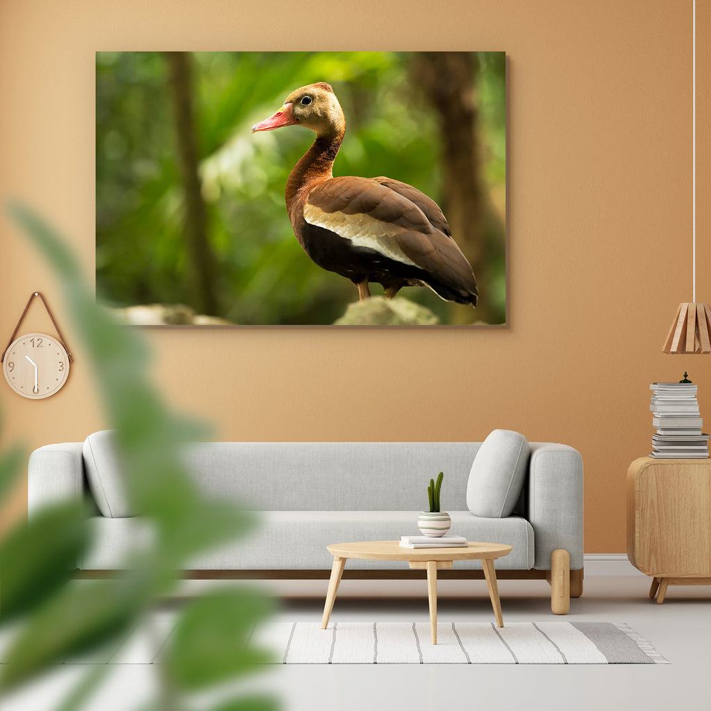 Black Bellied Whistling Tree Duck in Mexico Peel & Stick Vinyl Wall Sticker-Laminated Wall Stickers-ART_VN_UN-IC 5006327 IC 5006327, American, Animals, Birds, Black, Black and White, Individuals, Mexican, Nature, Portraits, Scenic, Wildlife, bellied, whistling, tree, duck, in, mexico, peel, stick, vinyl, wall, sticker, america, animal, avian, beak, beautiful, bill, bird, birdwatching, brown, closeup, detail, environment, feathered, feathers, florida, fowl, greenery, head, natural, one, orange, ornithology, 