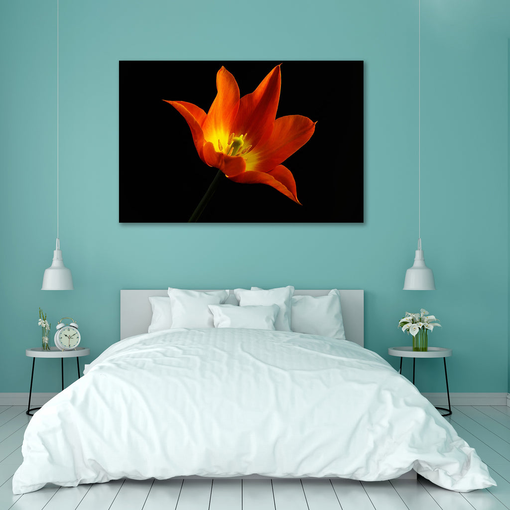Orange Tulip Flower Peel & Stick Vinyl Wall Sticker-Laminated Wall Stickers-ART_VN_UN-IC 5006664 IC 5006664, Black, Black and White, Botanical, Floral, Flowers, Holidays, Love, Nature, Romance, Scenic, Seasons, White, orange, tulip, flower, peel, stick, vinyl, wall, sticker, background, beautiful, beauty, bloom, blooming, blossom, bouquet, bright, bud, closeup, color, colorful, decoration, flora, fresh, freshness, garden, gift, green, head, holiday, isolated, leaf, life, macro, nobody, object, one, petal, p