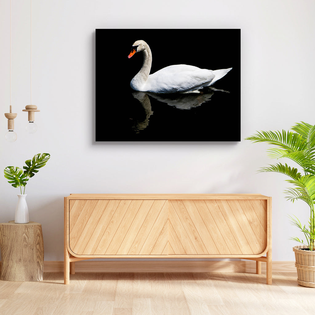 White Swan Reflection Peel & Stick Vinyl Wall Sticker-Laminated Wall Stickers-ART_VN_UN-IC 5006738 IC 5006738, Adult, Animals, Birds, Black, Black and White, Individuals, Landscapes, Nature, Portraits, Scenic, White, Wildlife, swan, reflection, peel, stick, vinyl, wall, sticker, animal, aquatic, beak, beautiful, beauty, bird, blue, countryside, cygnus, elegance, feather, feathered, feathers, graceful, lake, mute, natural, neck, orange, outdoor, pair, portrait, ripples, river, romantic, several, standing, sw
