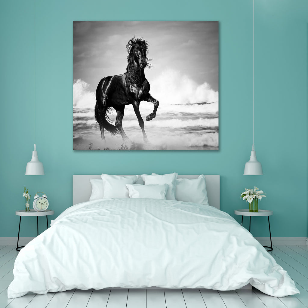 Black Stallion By The Seaside Peel & Stick Vinyl Wall Sticker-Laminated Wall Stickers-ART_VN_UN-IC 5006768 IC 5006768, Animals, Art and Paintings, Black, Black and White, Nature, Scenic, Sunrises, Sunsets, stallion, by, the, seaside, peel, stick, vinyl, wall, sticker, horse, horses, wild, galloping, monochrome, beast, bw, contrast, dust, emotions, equestrian, equine, farm, fast, fastest, fight, force, forward, free, freedom, gallop, gray, grey, ground, hoofed, light, male, mammal, mane, monochromatic, motio