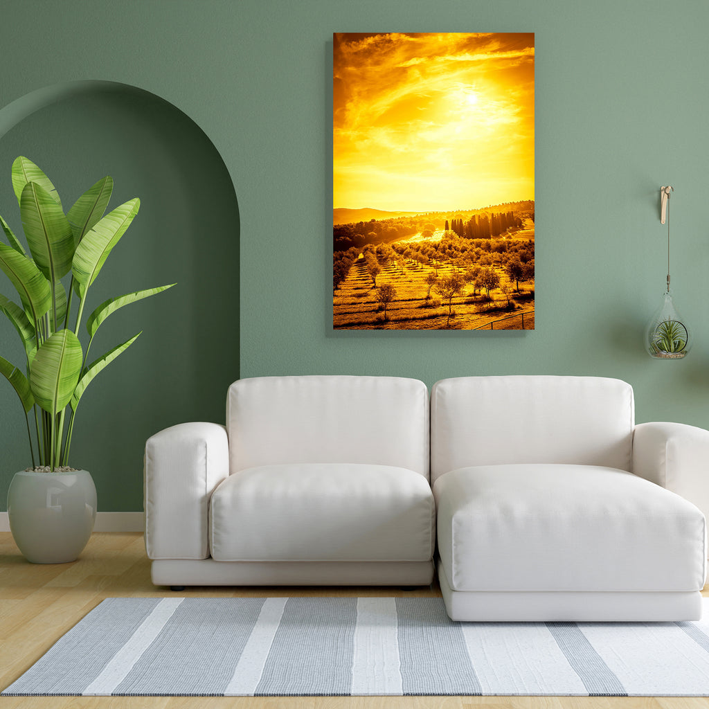 Olive Field in Tuscany, Central Italy Peel & Stick Vinyl Wall Sticker-Laminated Wall Stickers-ART_VN_UN-IC 5006847 IC 5006847, Automobiles, Countries, Culture, Ethnic, Italian, Landscapes, Mountains, Nature, Rural, Scenic, Traditional, Transportation, Travel, Tribal, Vehicles, World Culture, olive, field, in, tuscany, central, italy, peel, stick, vinyl, wall, sticker, agriculture, amazing, beautiful, beauty, clouds, country, countryside, cypress, destination, europe, famous, farmland, farms, forest, gold, g