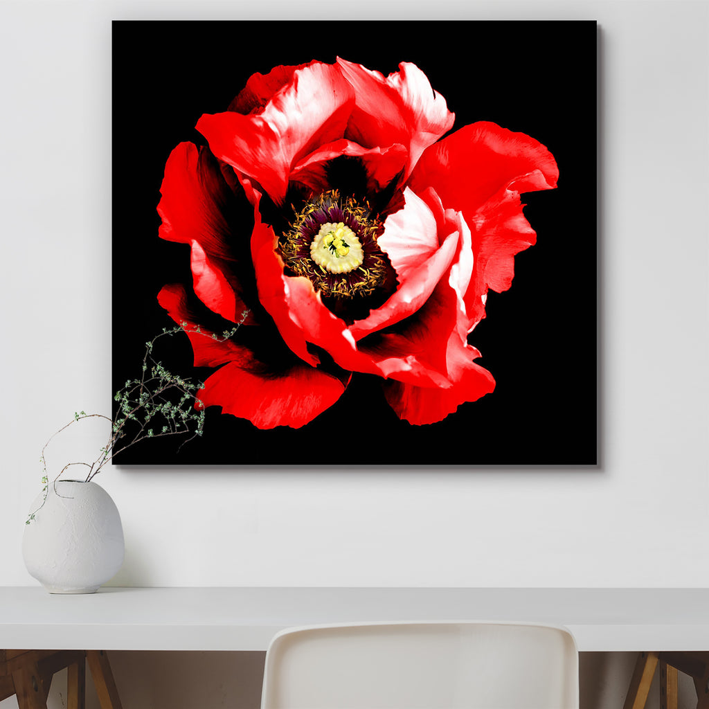 Red Peony Flower D2 Peel & Stick Vinyl Wall Sticker-Laminated Wall Stickers-ART_VN_UN-IC 5006848 IC 5006848, Black, Black and White, Botanical, Floral, Flowers, Love, Nature, Patterns, Photography, Romance, Scenic, Surrealism, White, red, peony, flower, d2, peel, stick, vinyl, wall, sticker, acid, background, beautiful, beauty, blood, bloom, blossom, blossoming, bright, chrome, closeup, color, colorful, dark, exotic, flora, freshness, garden, grass, green, growth, head, isolated, large, leaf, macro, natural
