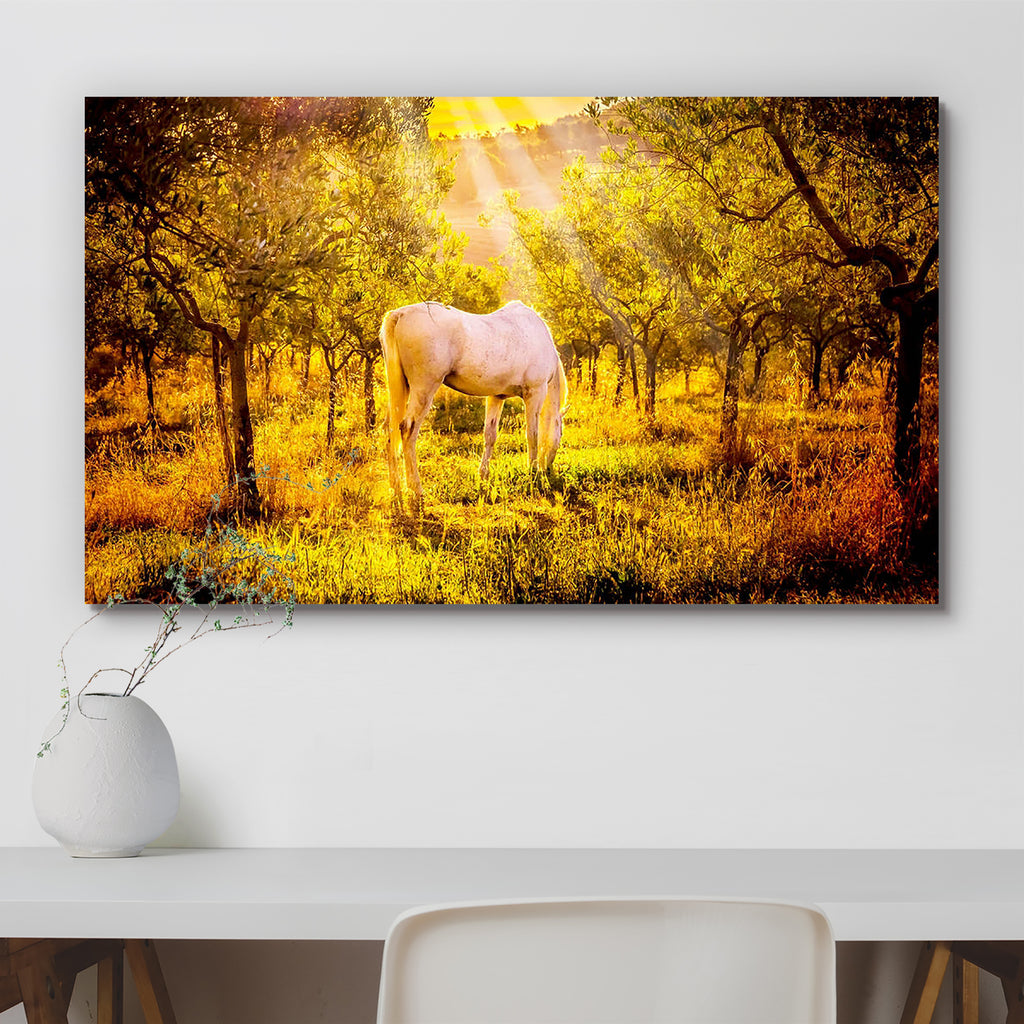 White Wild Horse In Olive Tuscan Orchard Peel & Stick Vinyl Wall Sticker-Laminated Wall Stickers-ART_VN_UN-IC 5006873 IC 5006873, Animals, Automobiles, Black and White, Countries, Culture, Ethnic, Holidays, Italian, Landscapes, Nature, Rural, Scenic, Sunrises, Sunsets, Traditional, Transportation, Travel, Tribal, Vehicles, White, World Culture, wild, horse, in, olive, tuscan, orchard, peel, stick, vinyl, wall, sticker, agriculture, amazing, animal, attraction, beautiful, beauty, country, countryside, dawn, 