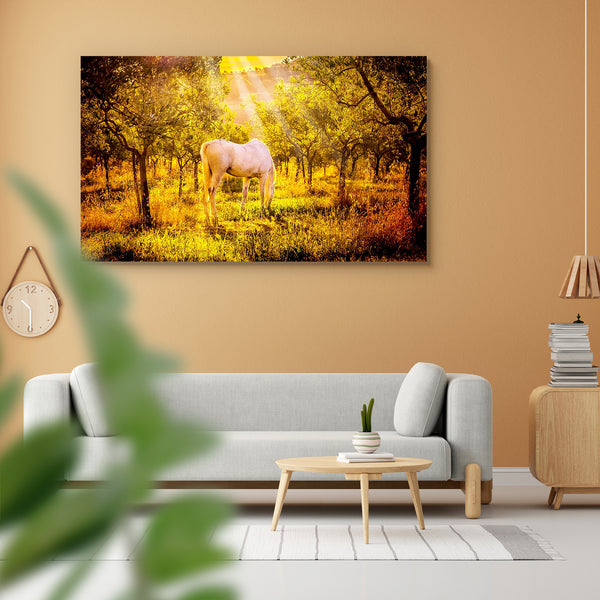 White Wild Horse In Olive Tuscan Orchard Peel & Stick Vinyl Wall Sticker-Laminated Wall Stickers-ART_VN_UN-IC 5006873 IC 5006873, Animals, Automobiles, Black and White, Countries, Culture, Ethnic, Holidays, Italian, Landscapes, Nature, Rural, Scenic, Sunrises, Sunsets, Traditional, Transportation, Travel, Tribal, Vehicles, White, World Culture, wild, horse, in, olive, tuscan, orchard, peel, stick, vinyl, wall, sticker, for, home, decoration, agriculture, amazing, animal, attraction, beautiful, beauty, count