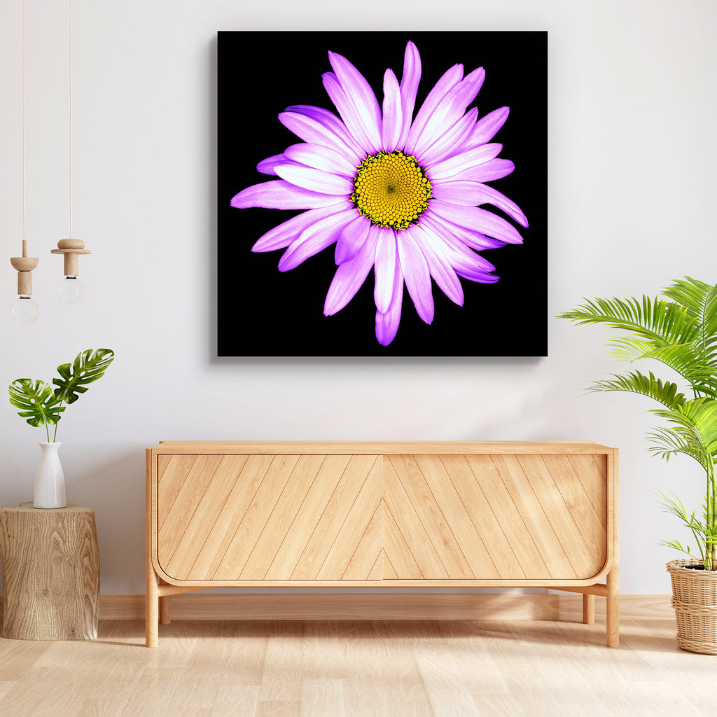 White Daisy Flower Peel & Stick Vinyl Wall Sticker-Laminated Wall Stickers-ART_VN_UN-IC 5007053 IC 5007053, Ancient, Black, Black and White, Botanical, Floral, Flowers, Historical, Love, Medieval, Nature, Retro, Romance, Scenic, Seasons, Surrealism, Vintage, Wedding, White, daisy, flower, peel, stick, vinyl, wall, sticker, background, beautiful, beauty, bloom, blooming, blossom, botany, bright, closeup, color, colorful, dark, day, detail, exotic, flora, fresh, freshness, head, isolated, macro, natural, one,