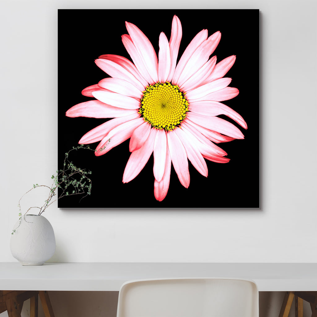 Surreal Daisy Flower Peel & Stick Vinyl Wall Sticker-Laminated Wall Stickers-ART_VN_UN-IC 5007054 IC 5007054, Ancient, Black, Black and White, Botanical, Floral, Flowers, Historical, Love, Medieval, Nature, Retro, Romance, Scenic, Seasons, Surrealism, Vintage, Wedding, White, surreal, daisy, flower, peel, stick, vinyl, wall, sticker, autumn, background, beauty, bloom, blooming, blossom, botany, bright, closeup, color, colorful, dark, day, detail, exotic, flora, fresh, freshness, head, isolated, macro, natur
