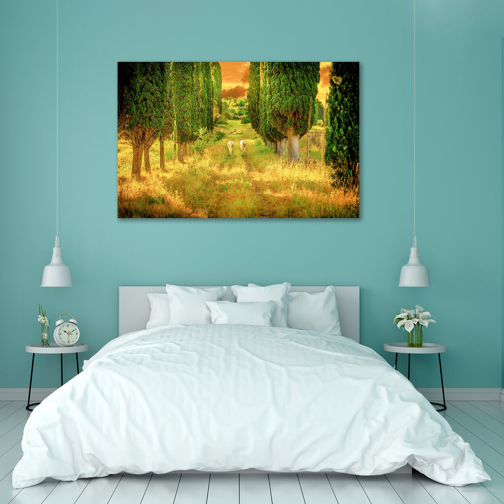 Wild Horses Peel & Stick Vinyl Wall Sticker-Laminated Wall Stickers-ART_VN_UN-IC 5007079 IC 5007079, Animals, Automobiles, Black and White, Countries, Culture, Ethnic, Holidays, Italian, Landscapes, Mountains, Nature, Rural, Scenic, Sunrises, Sunsets, Traditional, Transportation, Travel, Tribal, Vehicles, White, World Culture, wild, horses, peel, stick, vinyl, wall, sticker, agriculture, amazing, animal, attraction, beautiful, beauty, country, countryside, cypress, destination, europe, famous, farm, farmlan