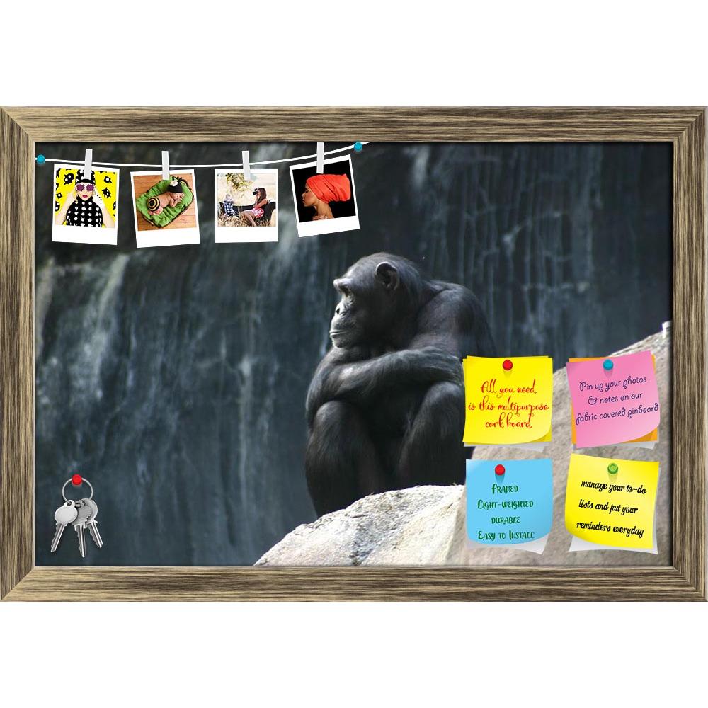 ArtzFolio Contemplation Printed Bulletin Board Notice Pin Board Soft Board | Framed-Bulletin Boards Framed-AZSAO279252BLB_FR_L-Image Code 5000002 Vishnu Image Folio Pvt Ltd, IC 5000002, ArtzFolio, Bulletin Boards Framed, Animals, Photography, contemplation, printed, bulletin, board, notice, pin, soft, framed, pin up board, push pin board, extra large cork board, big pin board, notice board, small bulletin board, cork board, wall notice board, giant cork board, bulletin board, office notice board, office cor