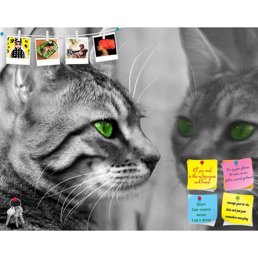ArtzFolio Begali Special Breed Kitten With Green Eyes Printed Bulletin Board Notice Pin Board Soft Board | Frameless-Bulletin Boards Frameless-AZSAO309587BLB_FL_L-Image Code 5000004 Vishnu Image Folio Pvt Ltd, IC 5000004, ArtzFolio, Bulletin Boards Frameless, Animals, Photography, begali, special, breed, kitten, with, green, eyes, printed, bulletin, board, notice, pin, soft, frameless, seeing, herself, reflected, glass, window, pin up board, push pin board, extra large cork board, big pin board, notice boar