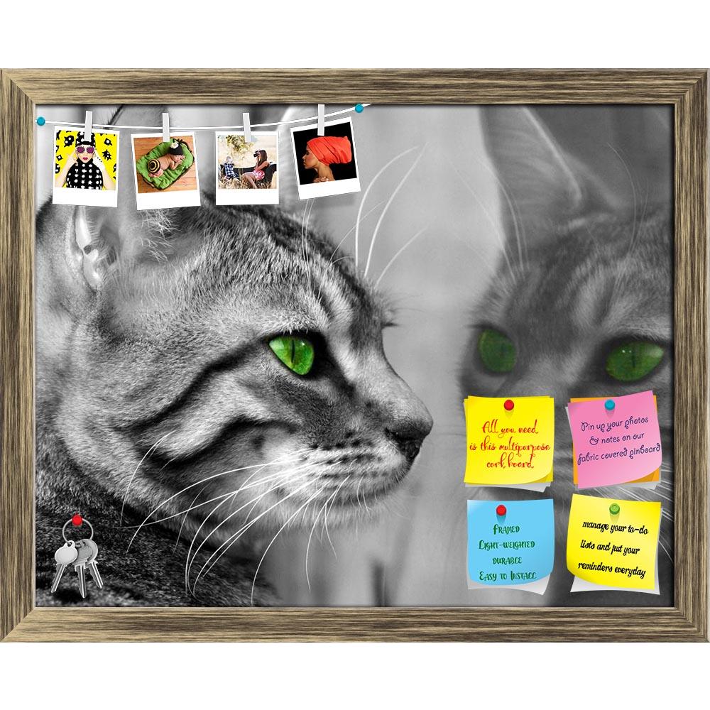 ArtzFolio Begali Special Breed Kitten With Green Eyes Printed Bulletin Board Notice Pin Board Soft Board | Framed-Bulletin Boards Framed-AZSAO309587BLB_FR_L-Image Code 5000004 Vishnu Image Folio Pvt Ltd, IC 5000004, ArtzFolio, Bulletin Boards Framed, Animals, Photography, begali, special, breed, kitten, with, green, eyes, printed, bulletin, board, notice, pin, soft, framed, seeing, herself, reflected, glass, window, pin up board, push pin board, extra large cork board, big pin board, notice board, small bul