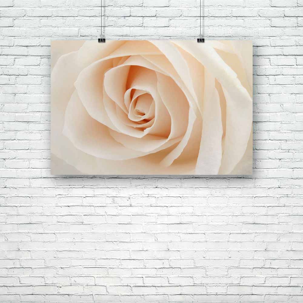 White Rose, Black and White, Botanical, Floral, Flowers, Love, Miniature Art, Nature, Romance, Scenic, Wedding, White, aesthetic, art, artwork, bedroom, colour, decor, decoration, frame, hanging, home, inspirational, items, kitchen, living, motivational, painting, portrait, poster, quotes, room, set, stickers, wall, , , , 