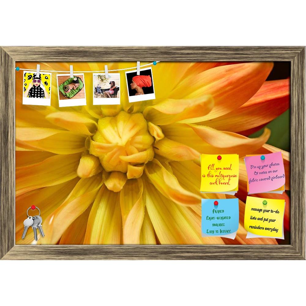 ArtzFolio Yellow Orange Double Flowering Dahlia Printed Bulletin Board Notice Pin Board Soft Board | Framed-Bulletin Boards Framed-AZSAO1622187BLB_FR_L-Image Code 5000036 Vishnu Image Folio Pvt Ltd, IC 5000036, ArtzFolio, Bulletin Boards Framed, Floral, Photography, yellow, orange, double, flowering, dahlia, printed, bulletin, board, notice, pin, soft, framed, macro, shot, bright, yellow-orange, double-flowering, wet, petals, single-flowering, georgina, abloom, background, beautiful, bloomed, blooming, bloo