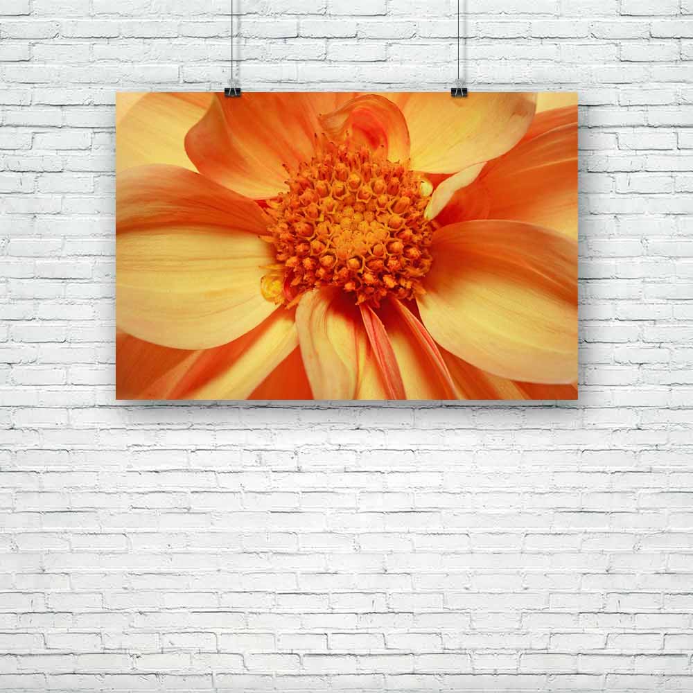 Single Flowering Dahlia, Botanical, Floral, Flowers, Nature, Scenic, aesthetic, art, artwork, bedroom, colour, decor, decoration, frame, hanging, home, inspirational, items, kitchen, living, motivational, painting, portrait, poster, quotes, room, set, stickers, wall, , , , 