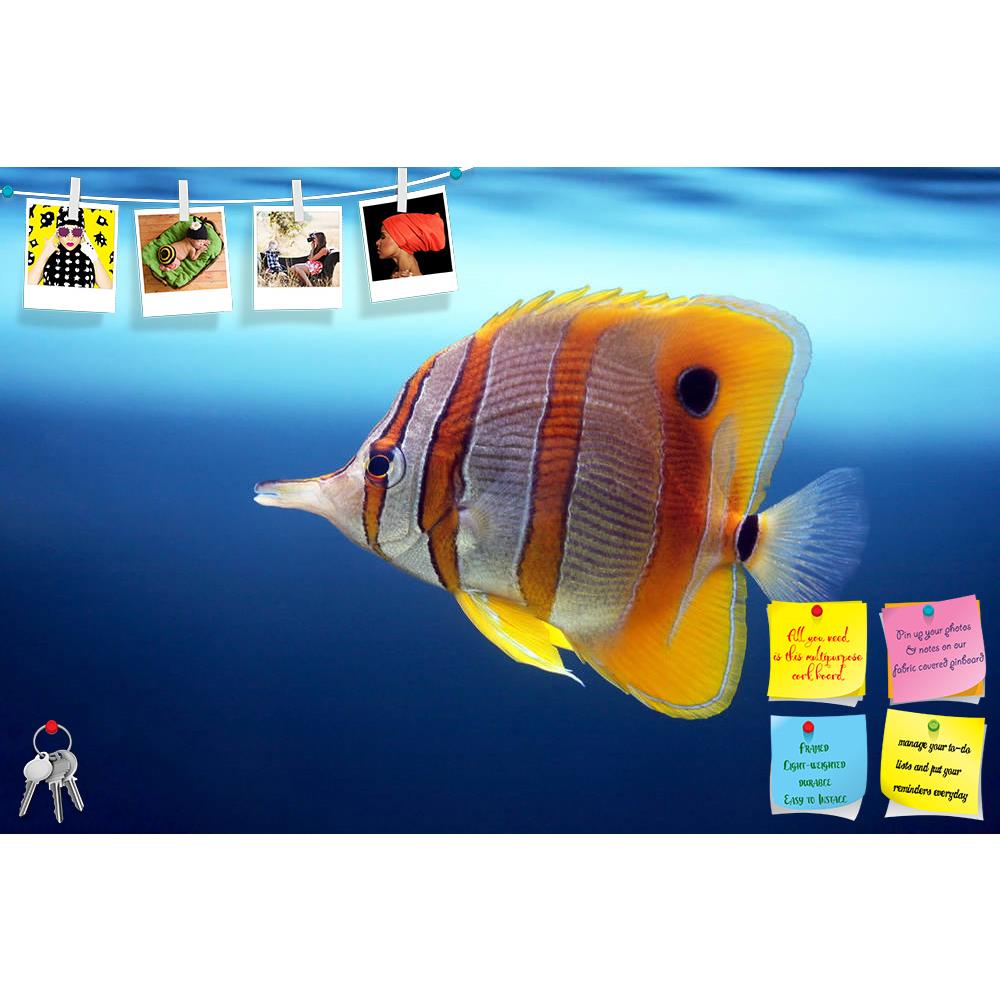 ArtzFolio Sixspine Butterfly Fish Printed Bulletin Board Notice Pin Board Soft Board | Frameless-Bulletin Boards Frameless-AZSAO2300471BLB_FL_L-Image Code 5000039 Vishnu Image Folio Pvt Ltd, IC 5000039, ArtzFolio, Bulletin Boards Frameless, Animals, Kids, Photography, sixspine, butterfly, fish, printed, bulletin, board, notice, pin, soft, frameless, colourful, butterfly-fish, floats, aquarium, pin up board, push pin board, extra large cork board, big pin board, notice board, small bulletin board, cork board
