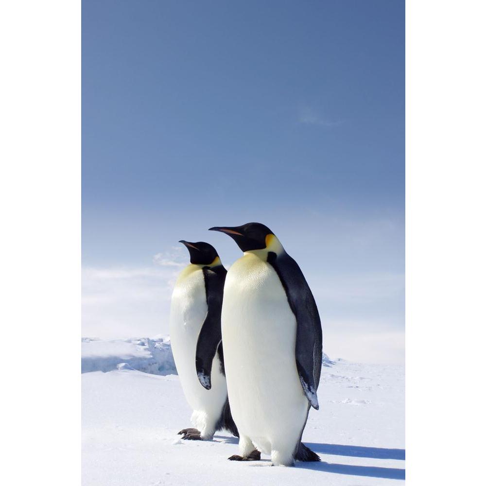 Two Emperor Penguins In Antarctica Canvas Painting Synthetic Frame-Paintings MDF Framing-AFF_FR-IC 5000048 IC 5000048, Animals, Nature, Scenic, Wildlife, two, emperor, penguins, in, antarctica, canvas, painting, synthetic, frame, penguin, animal, beautiful, beauty, blue, ice, sky, snow, winter, artzfolio, wall decor for living room, wall frames for living room, frames for living room, wall art, canvas painting, wall frame, scenery, panting, paintings for living room, framed wall art, wall painting, scenery 