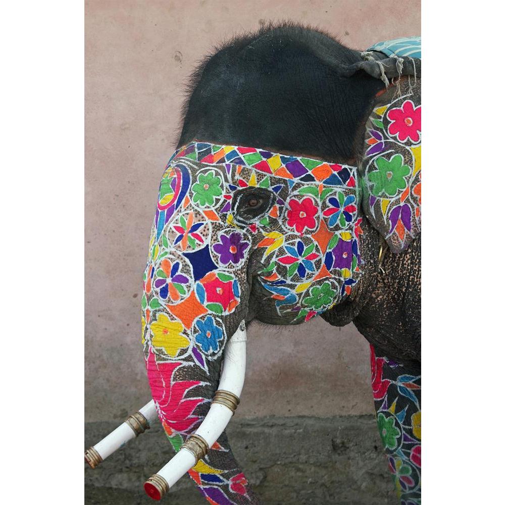 ArtzFolio Annual Elephant Festival In Jaipur India Unframed Paper Poster-Paper Posters Unframed-AZART4372721POS_UN_L-Image Code 5000084 Vishnu Image Folio Pvt Ltd, IC 5000084, ArtzFolio, Paper Posters Unframed, Animals, Photography, annual, elephant, festival, in, jaipur, india, unframed, paper, poster, wall, large, size, for, living, room, home, decoration, big, framed, decor, posters, pitaara, box, modern, art, with, frame, bedroom, amazonbasics, door, drawing, small, decorative, office, reception, multip