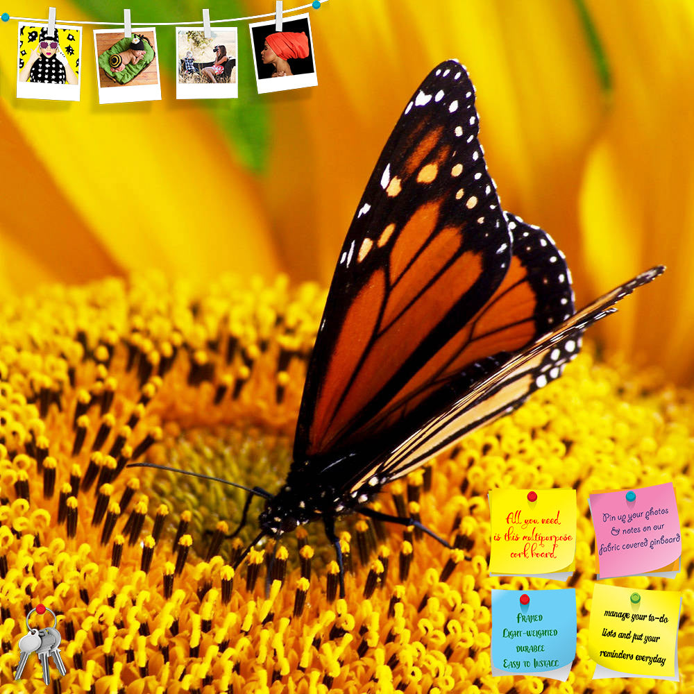 ArtzFolio Monarch Butterfly Sitting On Yellow Sunflower Printed Bulletin Board Notice Pin Board Soft Board | Frameless-Bulletin Boards Frameless-AZSAO4385351BLB_FL_L-Image Code 5000085 Vishnu Image Folio Pvt Ltd, IC 5000085, ArtzFolio, Bulletin Boards Frameless, Birds, Floral, Photography, monarch, butterfly, sitting, on, yellow, sunflower, printed, bulletin, board, notice, pin, soft, frameless, close-up, danaus, plexippus, bright, feeding, pin up board, push pin board, extra large cork board, big pin board