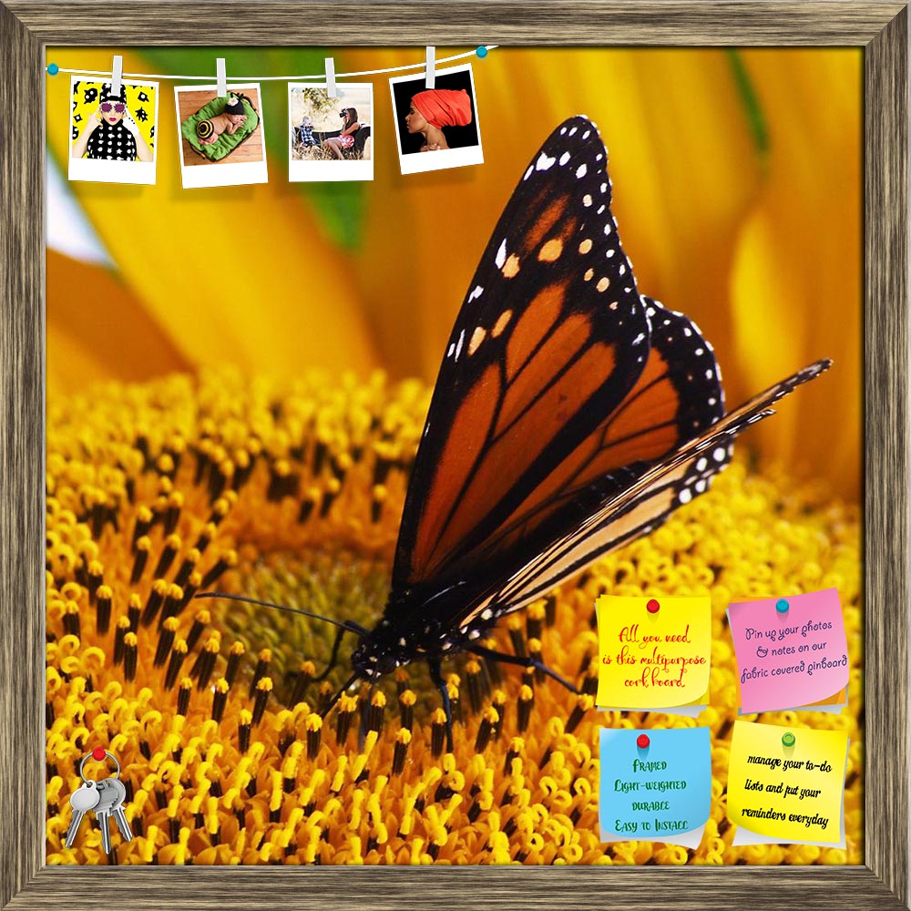 ArtzFolio Monarch Butterfly Sitting On Yellow Sunflower Printed Bulletin Board Notice Pin Board Soft Board | Framed-Bulletin Boards Framed-AZSAO4385351BLB_FR_L-Image Code 5000085 Vishnu Image Folio Pvt Ltd, IC 5000085, ArtzFolio, Bulletin Boards Framed, Birds, Floral, Photography, monarch, butterfly, sitting, on, yellow, sunflower, printed, bulletin, board, notice, pin, soft, framed, close-up, danaus, plexippus, bright, feeding, pin up board, push pin board, extra large cork board, big pin board, notice boa