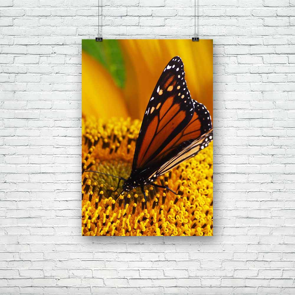Monarch Butterfly Unframed Paper Poster-Paper Posters Unframed-POS_UN-IC 5000085 IC 5000085, Animals, Botanical, Dance, Floral, Flowers, Music and Dance, Nature, Scenic, monarch, butterfly, unframed, paper, poster, sunflower, abundance, animal, bright, closeup, feeding, flower, golden, insect, natural, one, plant, sharing, single, sitting, yellow, artzfolio, posters, wall posters, posters for room, posters for room decoration, office poster, door poster, baby poster, motivational posters, posters for room b