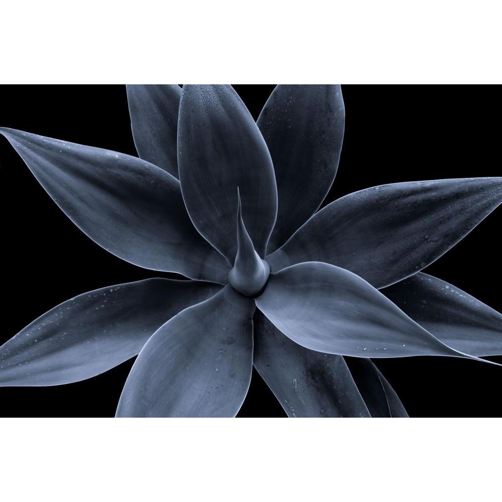 Classical Look At A Generic Plant Canvas Painting Synthetic Frame-Paintings MDF Framing-AFF_FR-IC 5000090 IC 5000090, Abstract Expressionism, Abstracts, Ancient, Art and Paintings, Cross, Culture, Ethnic, Historical, Medieval, Photography, Semi Abstract, Traditional, Tribal, Vintage, World Culture, classical, look, at, a, generic, plant, canvas, painting, synthetic, frame, abstract, art, artistic, beautiful, color, colorful, colors, concept, countryside, detail, develop, different, drop, emotive, ficus, fin