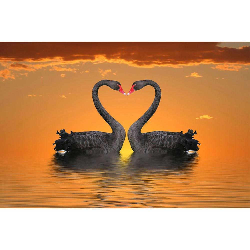 ArtzFolio Romantic Swans Unframed Paper Poster-Paper Posters Unframed-AZART4741506POS_UN_L-Image Code 5000093 Vishnu Image Folio Pvt Ltd, IC 5000093, ArtzFolio, Paper Posters Unframed, Animals, Photography, romantic, swans, unframed, paper, poster, wall, large, size, for, living, room, home, decoration, big, framed, decor, posters, pitaara, box, modern, art, with, frame, bedroom, amazonbasics, door, drawing, small, decorative, office, reception, multiple, friends, images, reprints, reprint, kids, bathroom, 