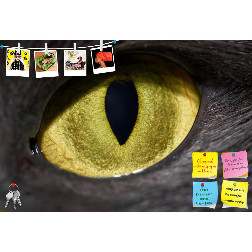 ArtzFolio Cats Eye Printed Bulletin Board Notice Pin Board Soft Board | Frameless-Bulletin Boards Frameless-AZSAO4973123BLB_FL_L-Image Code 5000100 Vishnu Image Folio Pvt Ltd, IC 5000100, ArtzFolio, Bulletin Boards Frameless, Animals, Photography, cats, eye, printed, bulletin, board, notice, pin, soft, frameless, cat's, close-up, vertical, pupil, pin up board, push pin board, extra large cork board, big pin board, notice board, small bulletin board, cork board, wall notice board, giant cork board, bulletin 