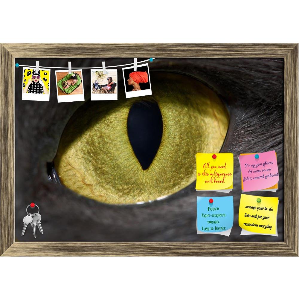 ArtzFolio Cats Eye Printed Bulletin Board Notice Pin Board Soft Board | Framed-Bulletin Boards Framed-AZSAO4973123BLB_FR_L-Image Code 5000100 Vishnu Image Folio Pvt Ltd, IC 5000100, ArtzFolio, Bulletin Boards Framed, Animals, Photography, cats, eye, printed, bulletin, board, notice, pin, soft, framed, cat's, close-up, vertical, pupil, pin up board, push pin board, extra large cork board, big pin board, notice board, small bulletin board, cork board, wall notice board, giant cork board, bulletin board, offic