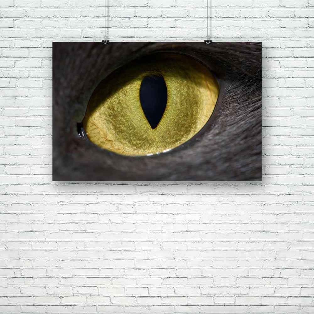 Cats Eye Unframed Paper Poster-Paper Posters Unframed-POS_UN-IC 5000100 IC 5000100, Animals, Black, Black and White, Pets, cats, eye, unframed, paper, poster, carnivore, cat, closeup, domestic, evil, fear, feline, front, fur, horror, hunting, looking, macro, mammal, monster, predator, pupil, spooky, undomesticated, vertical, watching, yellow, artzfolio, posters, wall posters, posters for room, posters for room decoration, office poster, door poster, baby poster, motivational posters, posters for room boys, 