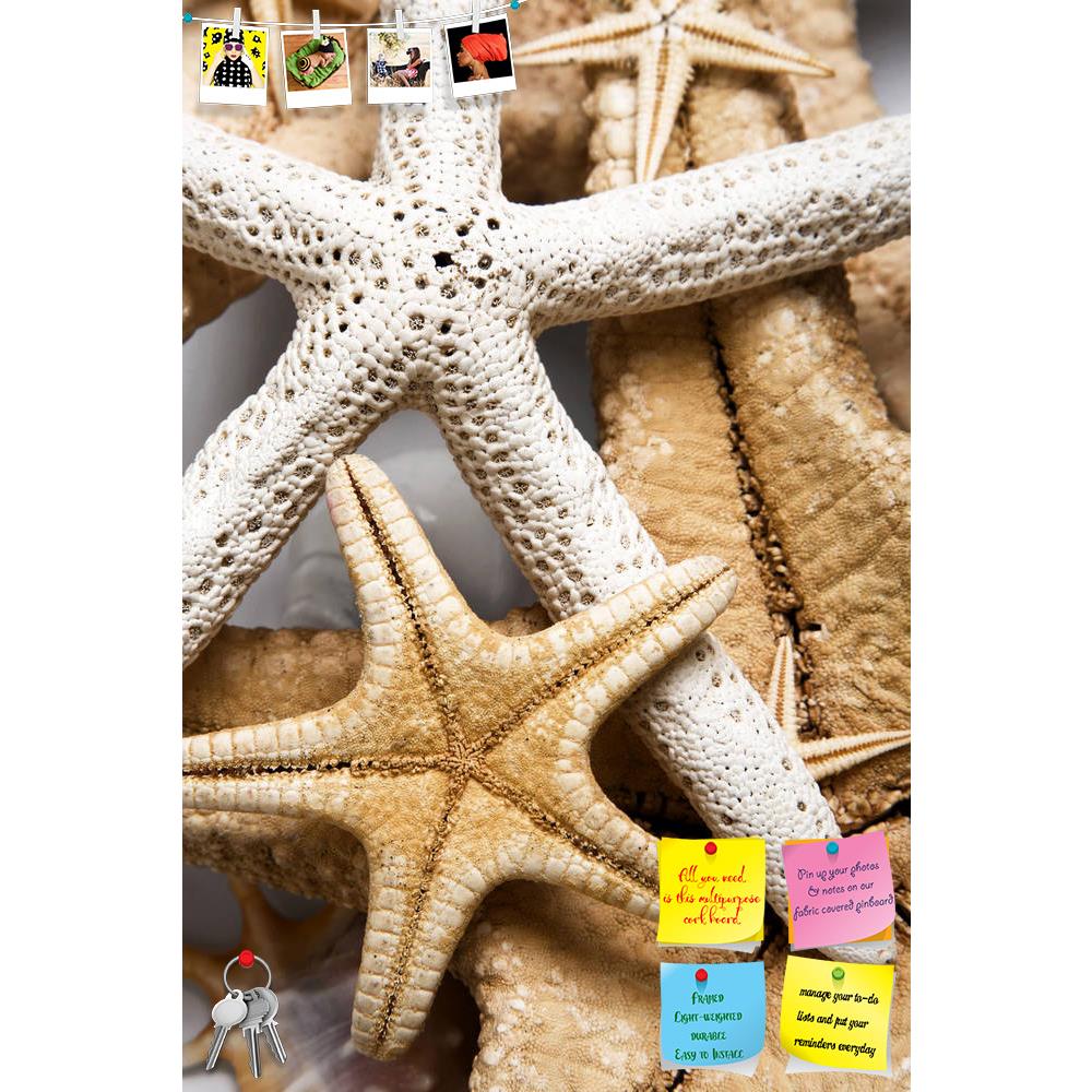 ArtzFolio Different Starfish Printed Bulletin Board Notice Pin Board Soft Board | Frameless-Bulletin Boards Frameless-AZSAO5544239BLB_FL_L-Image Code 5000121 Vishnu Image Folio Pvt Ltd, IC 5000121, ArtzFolio, Bulletin Boards Frameless, Landscapes, Photography, different, starfish, printed, bulletin, board, notice, pin, soft, frameless, nice, background, several, pin up board, push pin board, extra large cork board, big pin board, notice board, small bulletin board, cork board, wall notice board, giant cork 