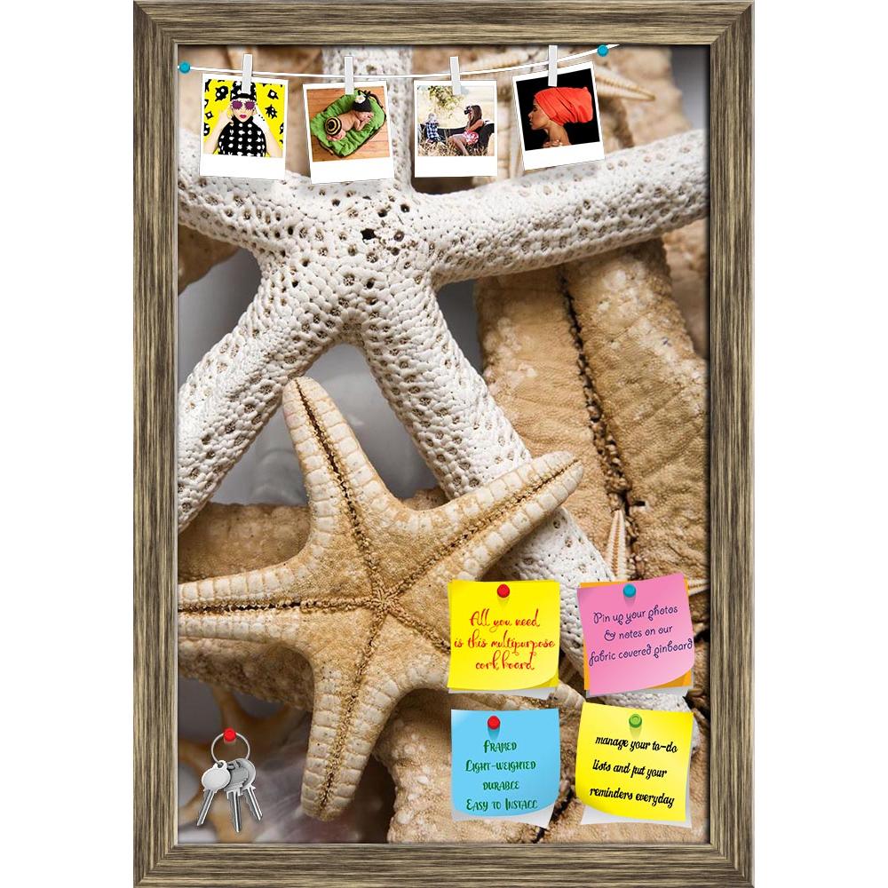 ArtzFolio Different Starfish Printed Bulletin Board Notice Pin Board Soft Board | Framed-Bulletin Boards Framed-AZSAO5544239BLB_FR_L-Image Code 5000121 Vishnu Image Folio Pvt Ltd, IC 5000121, ArtzFolio, Bulletin Boards Framed, Landscapes, Photography, different, starfish, printed, bulletin, board, notice, pin, soft, framed, nice, background, several, pin up board, push pin board, extra large cork board, big pin board, notice board, small bulletin board, cork board, wall notice board, giant cork board, bulle